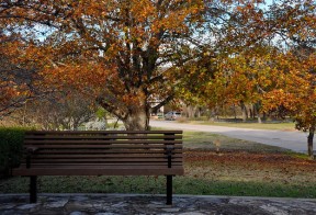 Rodzaje ławek parkowych