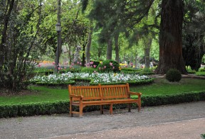 Jakie kupić ławki do parku?