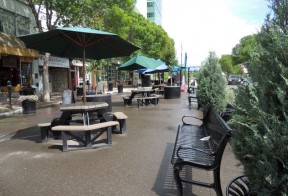 Wszystko o betonowych koszach na śmieci